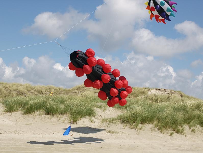 Fanø 2009 59.jpg